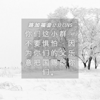 Picture 04 - 路 加 福 音 12:32 CUVS - 你 们 这 小 群 ， 不 要 惧 怕 ， 因 - Bible Verse Picture