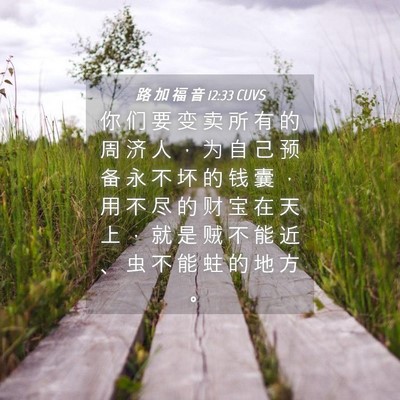 Picture 04 - 路 加 福 音 12:33 CUVS - 你 们 要 变 卖 所 有 的 周 济 人 ， - Bible Verse Picture