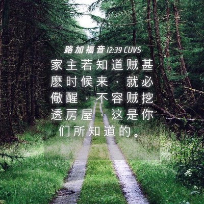 Picture 04 - 路 加 福 音 12:39 CUVS - 家 主 若 知 道 贼 甚 麽 时 候 来 ， - Bible Verse Picture