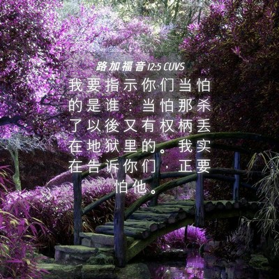 Picture 04 - 路 加 福 音 12:5 CUVS - 我 要 指 示 你 们 当 怕 的 是 谁 ： - Bible Verse Picture