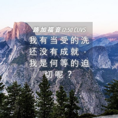 Picture 04 - 路 加 福 音 12:50 CUVS - 我 有 当 受 的 洗 还 没 有 成 就 ， - Bible Verse Picture