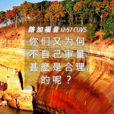 Picture 04 - 路 加 福 音 12:57 CUVS - 你 们 又 为 何 不 自 己 审 量 甚 麽 - Bible Verse Picture