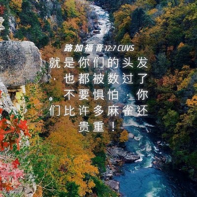 Picture 04 - 路 加 福 音 12:7 CUVS - 就 是 你 们 的 头 发 ， 也 都 被 数 - Bible Verse Picture
