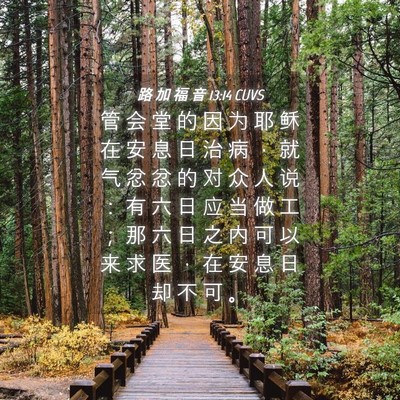 Picture 04 - 路 加 福 音 13:14 CUVS - 管 会 堂 的 因 为 耶 稣 在 安 息 日 - Bible Verse Picture
