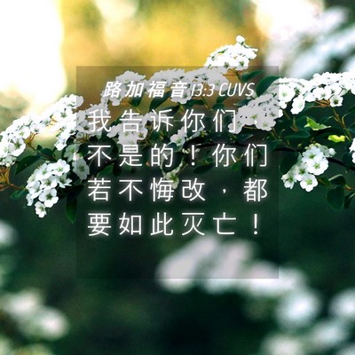 Picture 04 - 路 加 福 音 13:3 CUVS - 我 告 诉 你 们 ， 不 是 的 ！ 你 们 - Bible Verse Picture