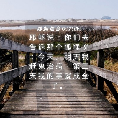Picture 04 - 路 加 福 音 13:32 CUVS - 耶 稣 说 ： 你 们 去 告 诉 那 个 狐 - Bible Verse Picture