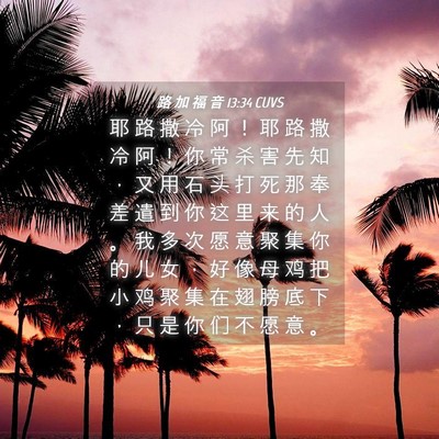 Picture 04 - 路 加 福 音 13:34 CUVS - 耶 路 撒 冷 阿 ！ 耶 路 撒 冷 阿 ！ - Bible Verse Picture