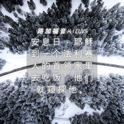 Picture 04 - 路 加 福 音 14:1 CUVS - 安 息 日 ， 耶 稣 到 一 个 法 利 赛 - Bible Verse Picture