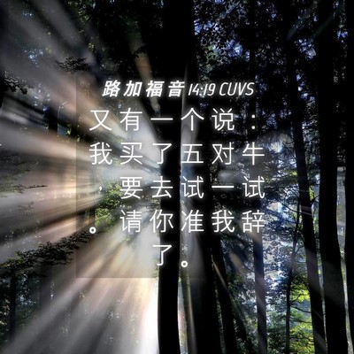 Picture 04 - 路 加 福 音 14:19 CUVS - 又 有 一 个 说 ： 我 买 了 五 对 牛 - Bible Verse Picture