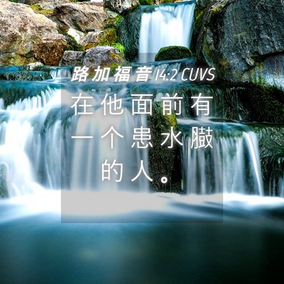 Picture 04 - 路 加 福 音 14:2 CUVS - 在 他 面 前 有 一 个 患 水 臌 的 人 - Bible Verse Picture