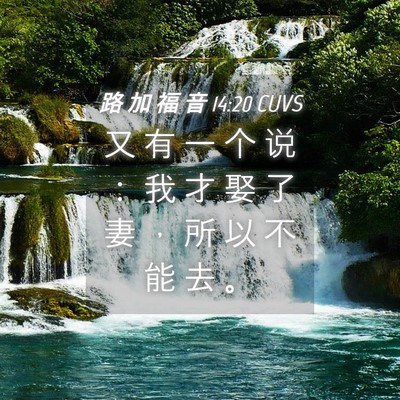 Picture 04 - 路 加 福 音 14:20 CUVS - 又 有 一 个 说 ： 我 才 娶 了 妻 ， - Bible Verse Picture