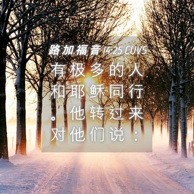 Picture 04 - 路 加 福 音 14:25 CUVS - 有 极 多 的 人 和 耶 稣 同 行 。 他 - Bible Verse Picture