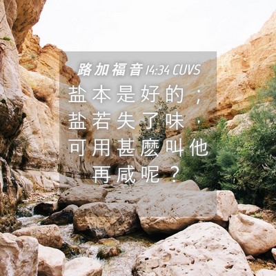 Picture 04 - 路 加 福 音 14:34 CUVS - 盐 本 是 好 的 ； 盐 若 失 了 味 ， - Bible Verse Picture