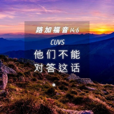 Picture 04 - 路 加 福 音 14:6 CUVS - 他 们 不 能 对 答 这 话 - Bible Verse Picture
