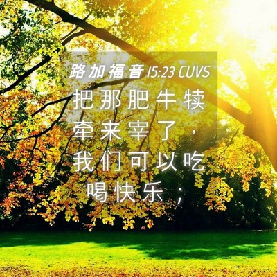 Picture 04 - 路 加 福 音 15:23 CUVS - 把 那 肥 牛 犊 牵 来 宰 了 ， 我 们 - Bible Verse Picture