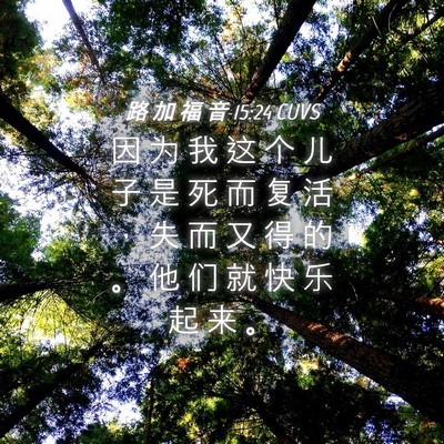 Picture 04 - 路 加 福 音 15:24 CUVS - 因 为 我 这 个 儿 子 是 死 而 复 活 - Bible Verse Picture