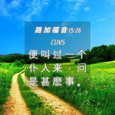 Picture 04 - 路 加 福 音 15:26 CUVS - 便 叫 过 一 个 仆 人 来 ， 问 是 甚 - Bible Verse Picture