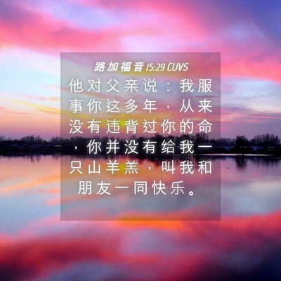 Picture 04 - 路 加 福 音 15:29 CUVS - 他 对 父 亲 说 ： 我 服 事 你 这 多 - Bible Verse Picture