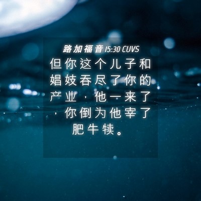 Picture 04 - 路 加 福 音 15:30 CUVS - 但 你 这 个 儿 子 和 娼 妓 吞 尽 了 - Bible Verse Picture