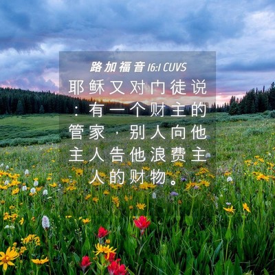 Picture 04 - 路 加 福 音 16:1 CUVS - 耶 稣 又 对 门 徒 说 ： 有 一 个 财 - Bible Verse Picture