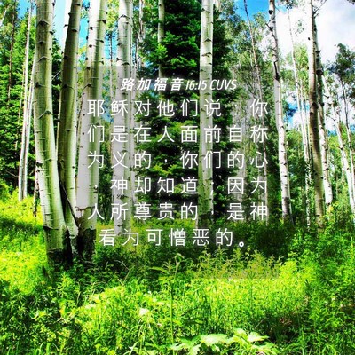 Picture 04 - 路 加 福 音 16:15 CUVS - 耶 稣 对 他 们 说 ： 你 们 是 在 人 - Bible Verse Picture