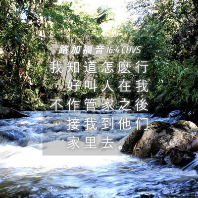 Picture 04 - 路 加 福 音 16:4 CUVS - 我 知 道 怎 麽 行 ， 好 叫 人 在 我 - Bible Verse Picture