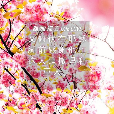 Picture 04 - 路 加 福 音 17:16 CUVS - 又 俯 伏 在 耶 稣 脚 前 感 谢 他 ； - Bible Verse Picture