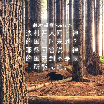 Picture 04 - 路 加 福 音 17:20 CUVS - 法 利 赛 人 问 ： 神 的 国 几 时 来 - Bible Verse Picture