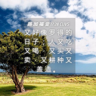 Picture 04 - 路 加 福 音 17:28 CUVS - 又 好 像 罗 得 的 日 子 ； 人 又 吃 - Bible Verse Picture