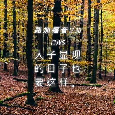 Picture 04 - 路 加 福 音 17:30 CUVS - 人 子 显 现 的 日 子 也 要 这 样 - Bible Verse Picture