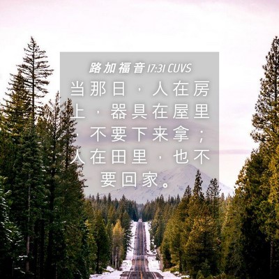 Picture 04 - 路 加 福 音 17:31 CUVS - 当 那 日 ， 人 在 房 上 ， 器 具 在 - Bible Verse Picture