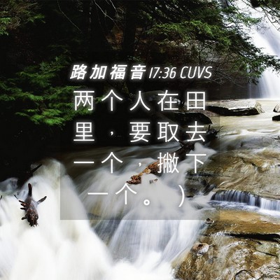 Picture 04 - 路 加 福 音 17:36 CUVS - 两 个 人 在 田 里 ， 要 取 去 一 个 - Bible Verse Picture