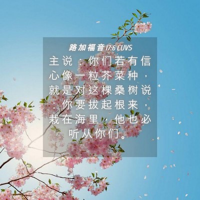 Picture 04 - 路 加 福 音 17:6 CUVS - 主 说 ： 你 们 若 有 信 心 像 一 粒 - Bible Verse Picture