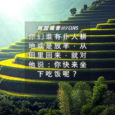 Picture 04 - 路 加 福 音 17:7 CUVS - 你 们 谁 有 仆 人 耕 地 或 是 放 羊 - Bible Verse Picture