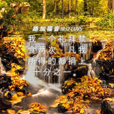 Picture 04 - 路 加 福 音 18:12 CUVS - 我 一 个 礼 拜 禁 食 两 次 ， 凡 我 - Bible Verse Picture