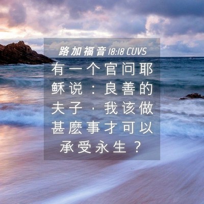 Picture 04 - 路 加 福 音 18:18 CUVS - 有 一 个 官 问 耶 稣 说 ： 良 善 的 - Bible Verse Picture