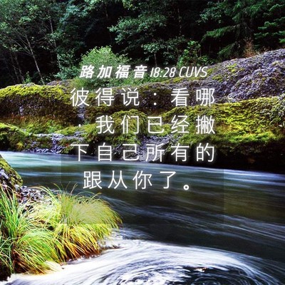 Picture 04 - 路 加 福 音 18:28 CUVS - 彼 得 说 ： 看 哪 ， 我 们 已 经 撇 - Bible Verse Picture