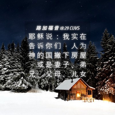 Picture 04 - 路 加 福 音 18:29 CUVS - 耶 稣 说 ： 我 实 在 告 诉 你 们 ， - Bible Verse Picture