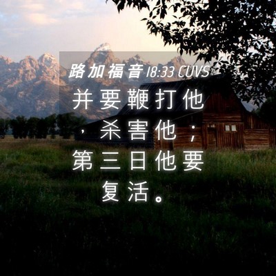 Picture 04 - 路 加 福 音 18:33 CUVS - 并 要 鞭 打 他 ， 杀 害 他 ； 第 三 - Bible Verse Picture