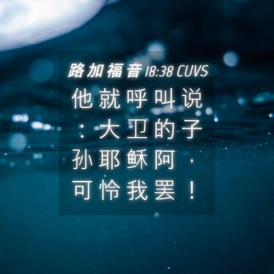 Picture 04 - 路 加 福 音 18:38 CUVS - 他 就 呼 叫 说 ： 大 卫 的 子 孙 耶 - Bible Verse Picture