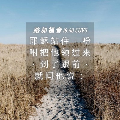 Picture 04 - 路 加 福 音 18:40 CUVS - 耶 稣 站 住 ， 吩 咐 把 他 领 过 来 - Bible Verse Picture