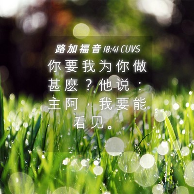 Picture 04 - 路 加 福 音 18:41 CUVS - 你 要 我 为 你 做 甚 麽 ？ 他 说 ： - Bible Verse Picture