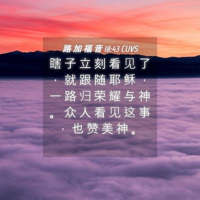 Picture 04 - 路 加 福 音 18:43 CUVS - 瞎 子 立 刻 看 见 了 ， 就 跟 随 耶 - Bible Verse Picture