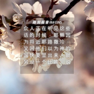 Picture 04 - 路 加 福 音 19:11 CUVS - 众 人 正 在 听 见 这 些 话 的 时 候 - Bible Verse Picture