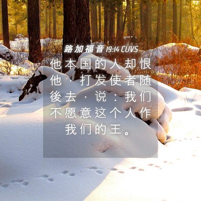 Picture 04 - 路 加 福 音 19:14 CUVS - 他 本 国 的 人 却 恨 他 ， 打 发 使 - Bible Verse Picture