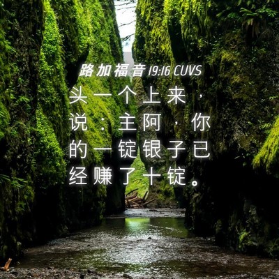 Picture 04 - 路 加 福 音 19:16 CUVS - 头 一 个 上 来 ， 说 ： 主 阿 ， 你 - Bible Verse Picture