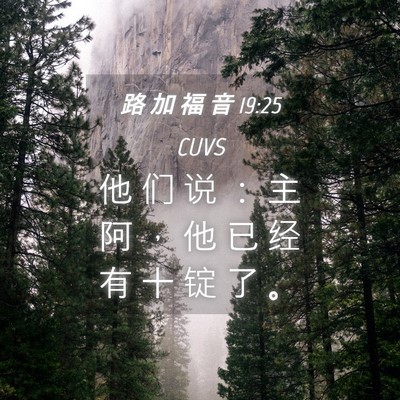 Picture 04 - 路 加 福 音 19:25 CUVS - 他 们 说 ： 主 阿 ， 他 已 经 有 十 - Bible Verse Picture