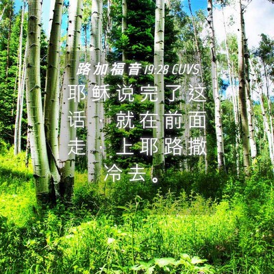 Picture 04 - 路 加 福 音 19:28 CUVS - 耶 稣 说 完 了 这 话 ， 就 在 前 面 - Bible Verse Picture