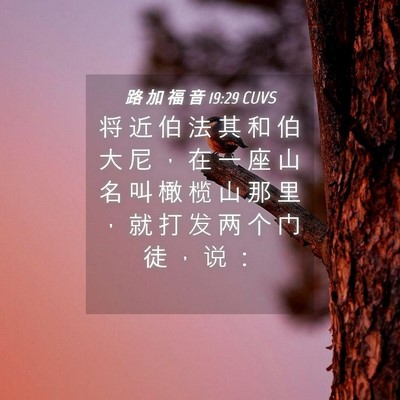 Picture 04 - 路 加 福 音 19:29 CUVS - 将 近 伯 法 其 和 伯 大 尼 ， 在 一 - Bible Verse Picture