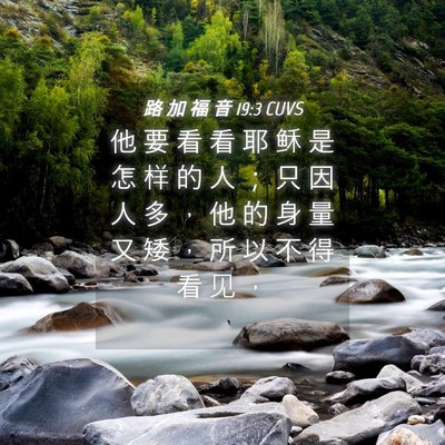 Picture 04 - 路 加 福 音 19:3 CUVS - 他 要 看 看 耶 稣 是 怎 样 的 人 ； - Bible Verse Picture